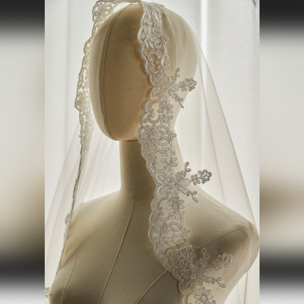 Elegant Lace Trimmed Veil